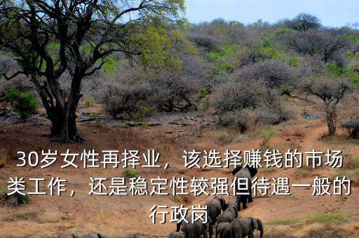 30歲女性再擇業(yè)，該選擇賺錢的市場類工作，還是穩(wěn)定性較強但待遇一般的行政崗