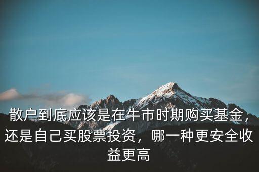 散戶(hù)到底應(yīng)該是在牛市時(shí)期購(gòu)買(mǎi)基金，還是自己買(mǎi)股票投資，哪一種更安全收益更高