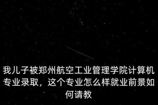 我兒子被鄭州航空工業(yè)管理學院計算機專業(yè)錄取，這個專業(yè)怎么樣就業(yè)前景如何請教