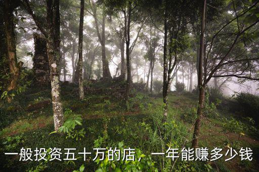 一般投資五十萬(wàn)的店，一年能賺多少錢