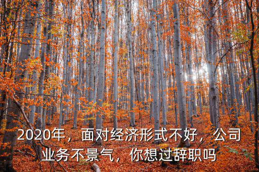 2020年，面對經濟形式不好，公司業(yè)務不景氣，你想過辭職嗎