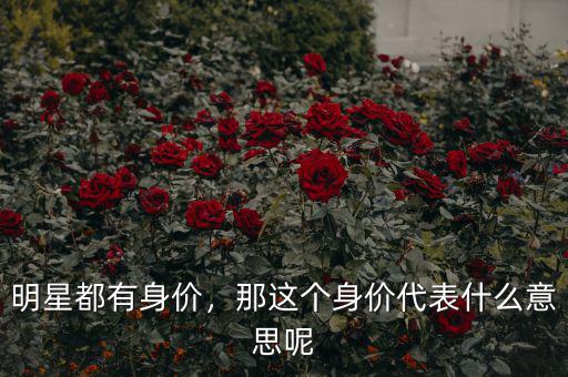 明星都有身價(jià)，那這個(gè)身價(jià)代表什么意思呢