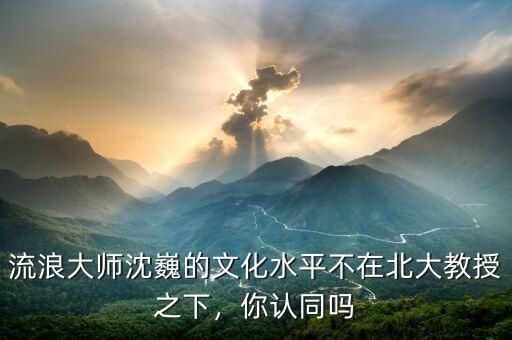 流浪大師沈巍的文化水平不在北大教授之下，你認(rèn)同嗎