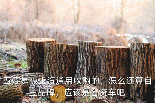五菱是被上汽通用收購的，怎么還算自主品牌，應(yīng)該是合資車吧