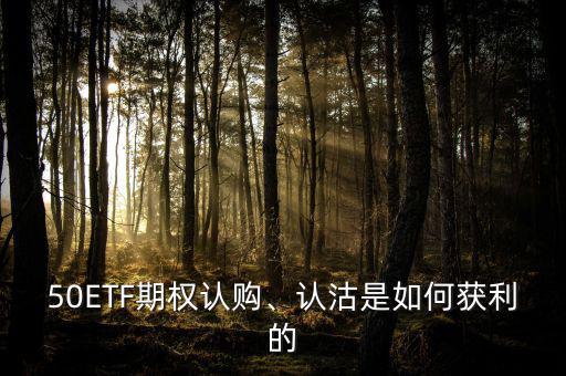 50ETF期權(quán)認(rèn)購、認(rèn)沽是如何獲利的