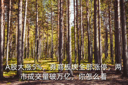 A股大漲5%，券商板塊全部漲停，兩市成交量破萬億，你怎么看