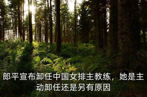 郎平宣布卸任中國女排主教練，她是主動卸任還是另有原因