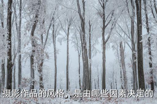 攝影作品的風(fēng)格，是由哪些因素決定的
