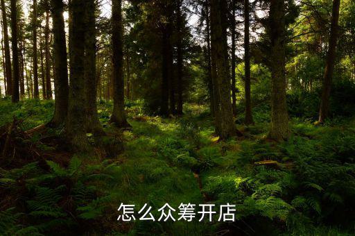 怎么眾籌開(kāi)店