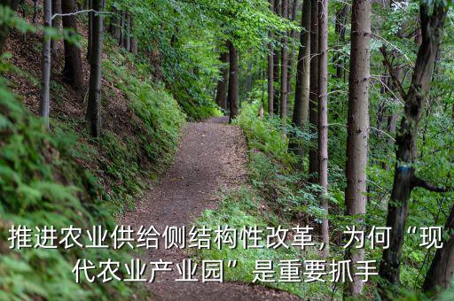 推進農業(yè)供給側結構性改革，為何“現(xiàn)代農業(yè)產業(yè)園”是重要抓手