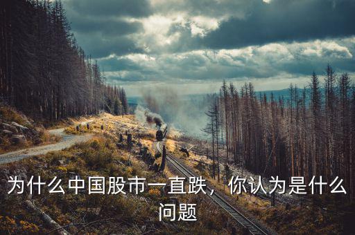 為什么中國股市一直跌，你認為是什么問題