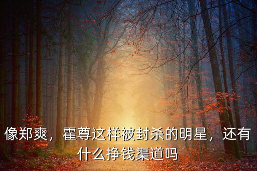 像鄭爽，霍尊這樣被封殺的明星，還有什么掙錢渠道嗎