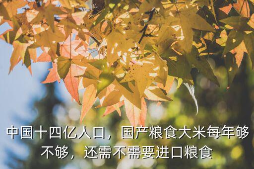 中國十四億人口，國產(chǎn)糧食大米每年夠不夠，還需不需要進口糧食