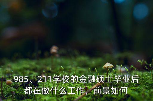 985、211學(xué)校的金融碩士畢業(yè)后都在做什么工作，前景如何