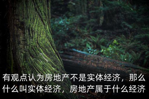 有觀點(diǎn)認(rèn)為房地產(chǎn)不是實(shí)體經(jīng)濟(jì)，那么什么叫實(shí)體經(jīng)濟(jì)，房地產(chǎn)屬于什么經(jīng)濟(jì)