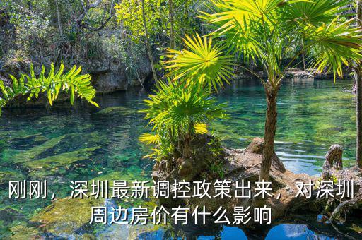 剛剛，深圳最新調(diào)控政策出來，對(duì)深圳周邊房?jī)r(jià)有什么影響