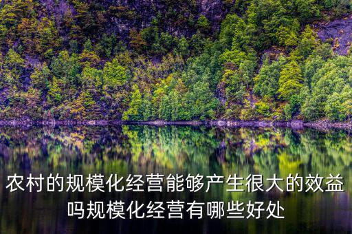 農(nóng)村的規(guī)?；?jīng)營(yíng)能夠產(chǎn)生很大的效益嗎規(guī)?；?jīng)營(yíng)有哪些好處