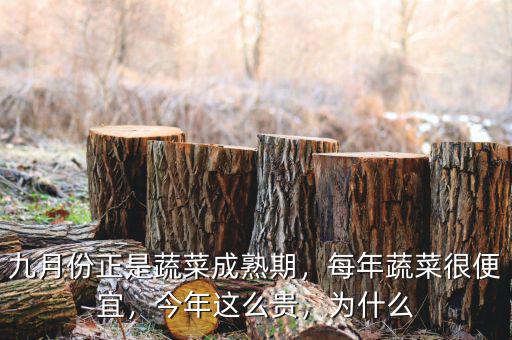 九月份正是蔬菜成熟期，每年蔬菜很便宜，今年這么貴，為什么