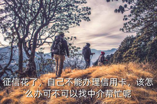 征信花了，自己不能辦理信用卡，該怎么辦可不可以找中介幫忙呢