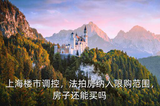 上海樓市調(diào)控，法拍房納入限購范圍，房子還能買嗎