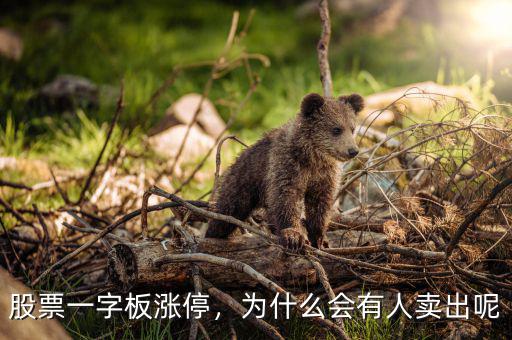股票一字板漲停，為什么會(huì)有人賣出呢