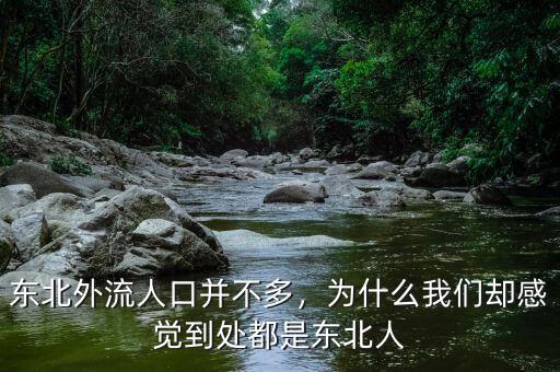 東北外流人口并不多，為什么我們卻感覺到處都是東北人