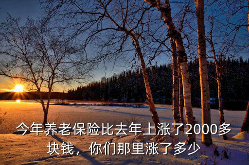 今年養(yǎng)老保險比去年上漲了2000多塊錢，你們那里漲了多少
