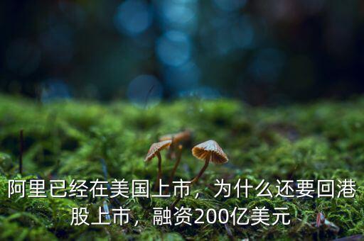 阿里已經(jīng)在美國上市，為什么還要回港股上市，融資200億美元