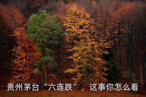 貴州茅臺(tái)“六連跌”，這事你怎么看