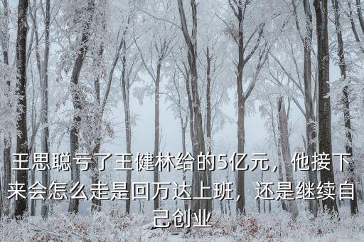 王思聰虧了王健林給的5億元，他接下來會(huì)怎么走是回萬達(dá)上班，還是繼續(xù)自己創(chuàng)業(yè)