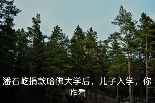 潘石屹捐款哈佛多少錢(qián),潘石屹捐款哈佛大學(xué)后