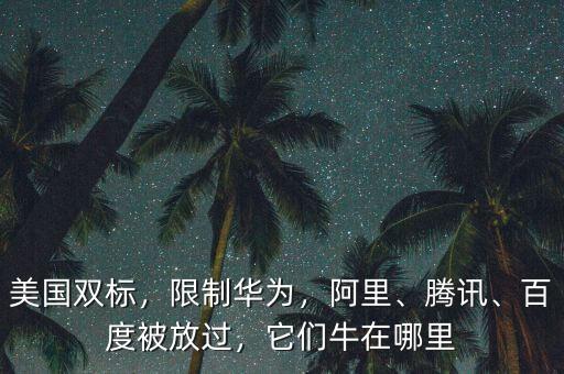 美國雙標(biāo)，限制華為，阿里、騰訊、百度被放過，它們牛在哪里