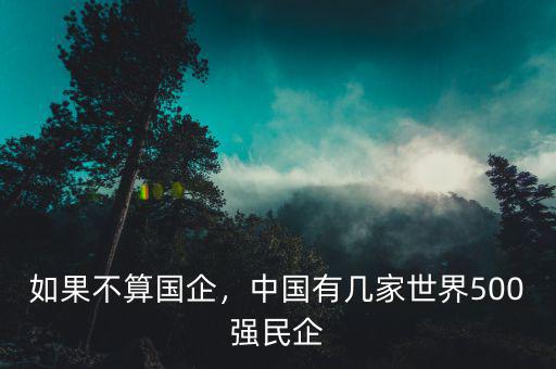 如果不算國(guó)企，中國(guó)有幾家世界500強(qiáng)民企