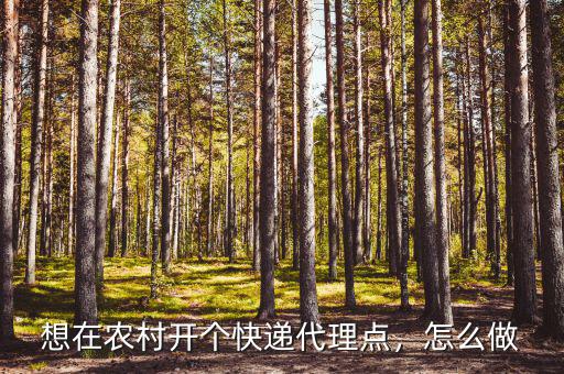 快遞怎么做快遞代送平臺,想在農(nóng)村開個快遞代理點(diǎn)