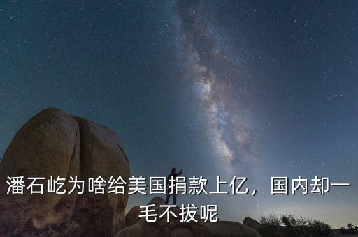 潘石屹為啥給美國捐款上億，國內(nèi)卻一毛不拔呢