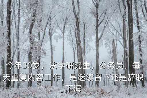 今年30歲，法學(xué)研究生，公務(wù)員，每天重復(fù)內(nèi)容工作，是繼續(xù)留下還是辭職下海