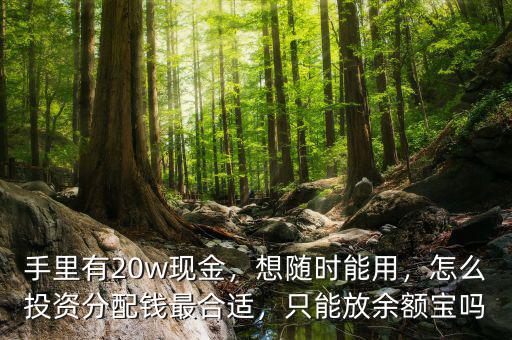 手里有20w現(xiàn)金，想隨時能用，怎么投資分配錢最合適，只能放余額寶嗎