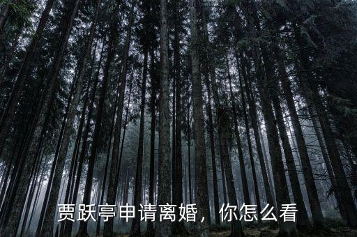 賈躍亭申請離婚，你怎么看