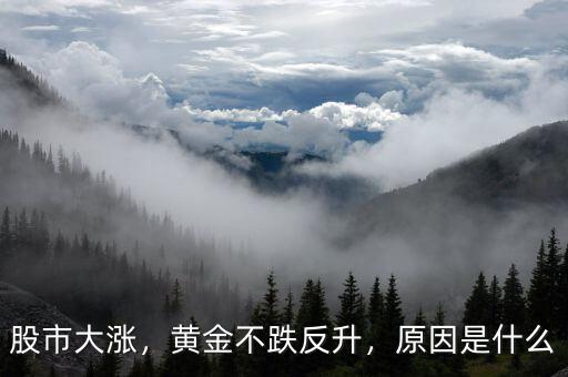 股市大漲，黃金不跌反升，原因是什么