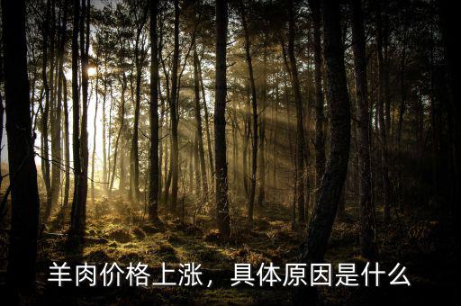 羊肉價格上漲，具體原因是什么