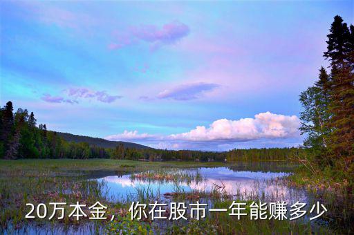 20萬(wàn)本金，你在股市一年能賺多少