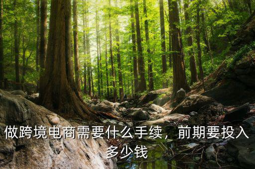 做跨境電商需要什么手續(xù)，前期要投入多少錢