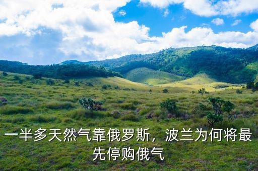 一半多天然氣靠俄羅斯，波蘭為何將最先停購俄氣