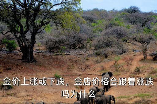 金價(jià)上漲或下跌，金店價(jià)格會(huì)跟著漲跌嗎為什么