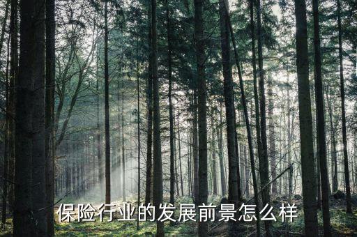 保險(xiǎn)行業(yè)怎么樣,你們覺得保險(xiǎn)行業(yè)怎么樣