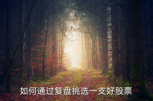 怎么買復(fù)盤(pán)漲停的股票,復(fù)盤(pán)怎么抓次日漲停板