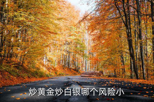 炒黃金炒白銀哪個(gè)風(fēng)險(xiǎn)小