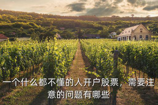 一個什么都不懂的人開戶股票，需要注意的問題有哪些