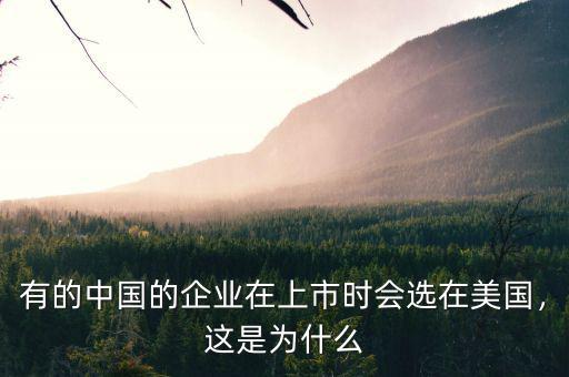 有的中國(guó)的企業(yè)在上市時(shí)會(huì)選在美國(guó)，這是為什么