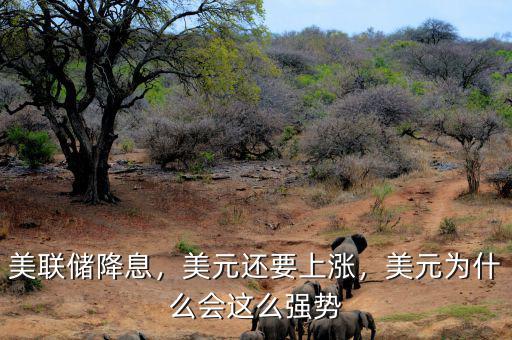美聯(lián)儲降息，美元還要上漲，美元為什么會這么強勢